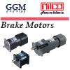Brake Motor + Gear Head