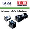 Reversible Motor + Gear Head