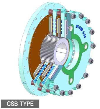 CSB Type