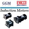 Induction Motor + Gear Head